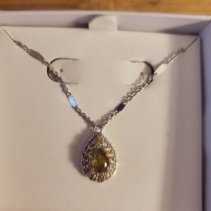 Revealed Necklace Bomb